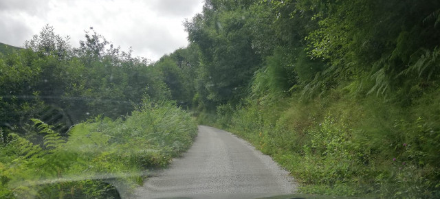 Estado de una de las carreteras del concejo debido al retraso de desbroces