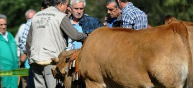 Jose Manuel Menéndez, concejal del Partido Popular 